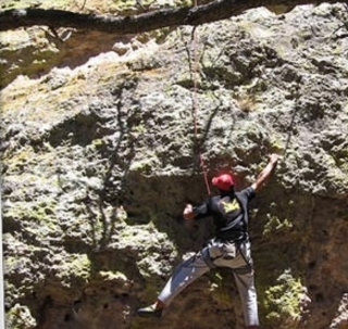 Actividades verticales